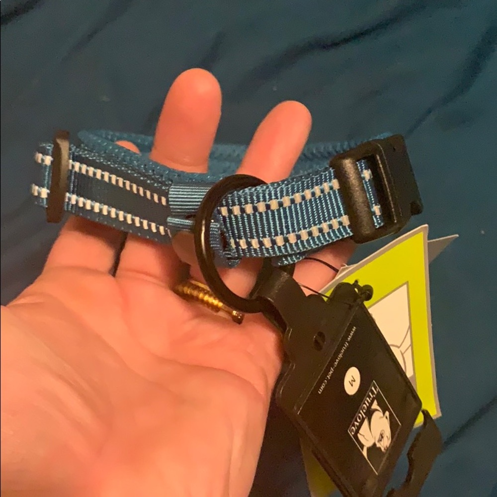 True love medium dog collar - Picture 3 of 5